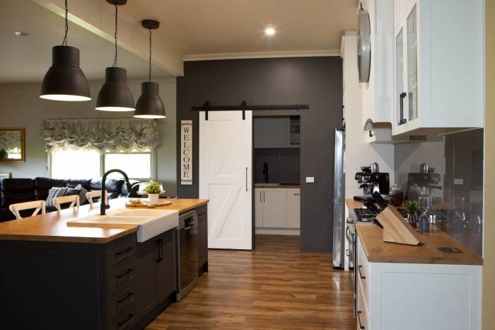 Kitchen With Butler And Laundry Combined